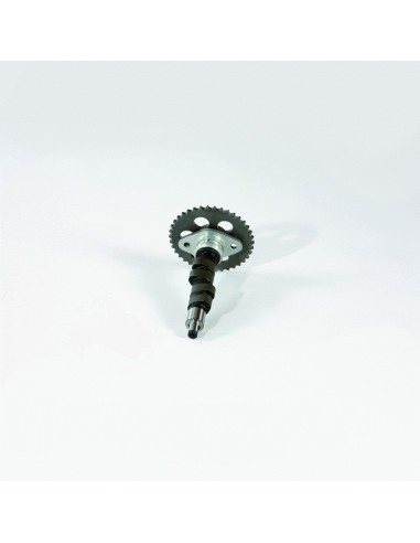 Kit arbre à cames asymétrique pour BMW R2V à...