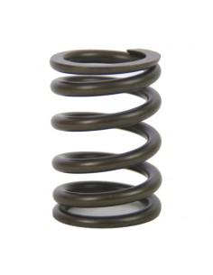 Ressort de soupape pour BMW R2V 2