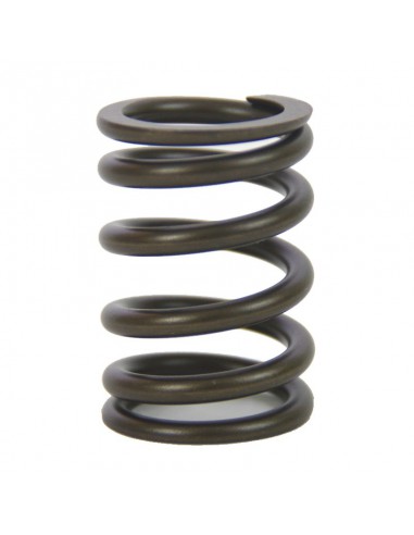 Ressort de soupape pour BMW R2V